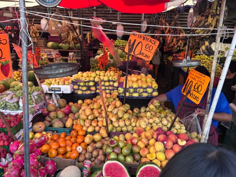 Mercados Tradicionales de Puebla: Sabores y Tradiciones Vivas