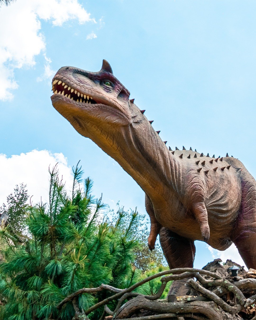 Volcanic Park Puebla