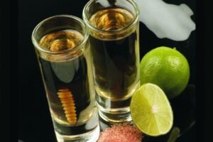 Mezcal de Huaquechula: Un Viaje a Través del Tiempo y el Sabor