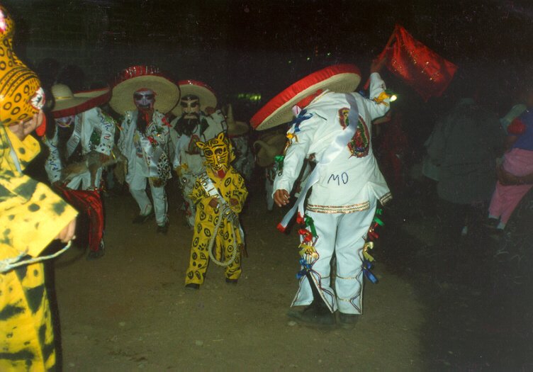 Danza típica Tecuanis en Acatlán, Puebla