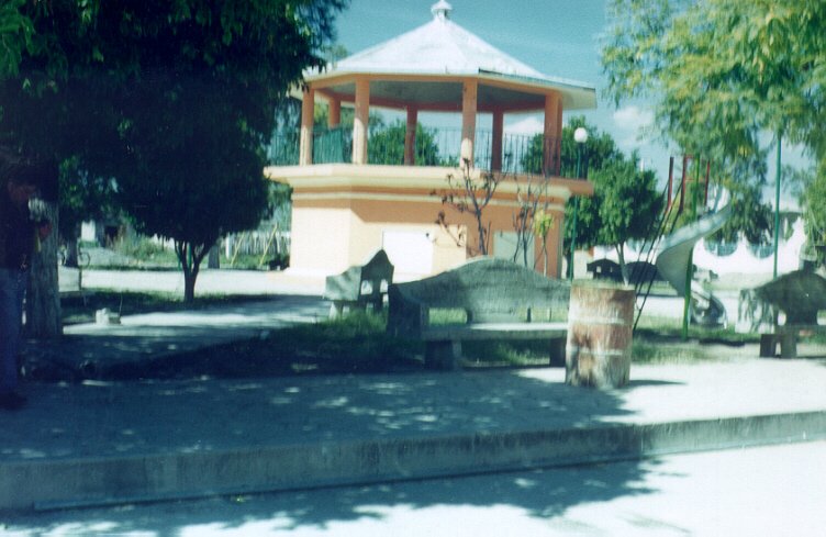Parque Municipal de Chigmecatitlán, Puebla