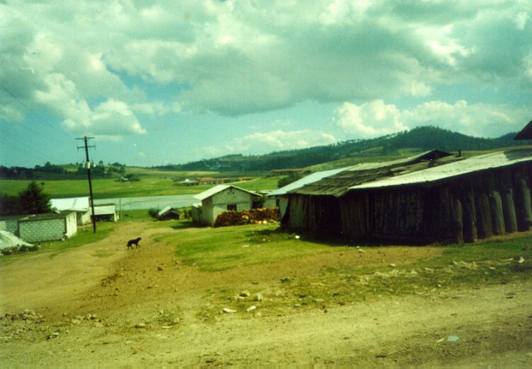 Vista Panorámica de Chignahuapan, Pue.