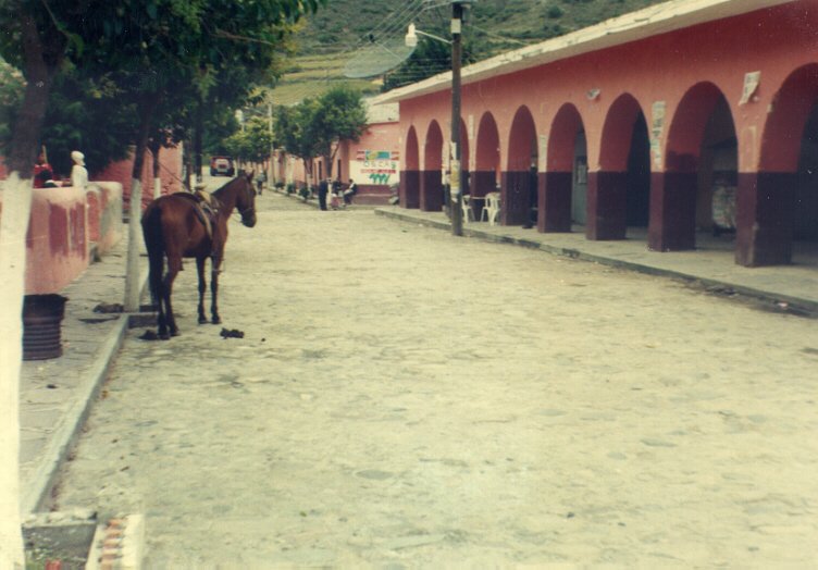 Vista de la calle principal