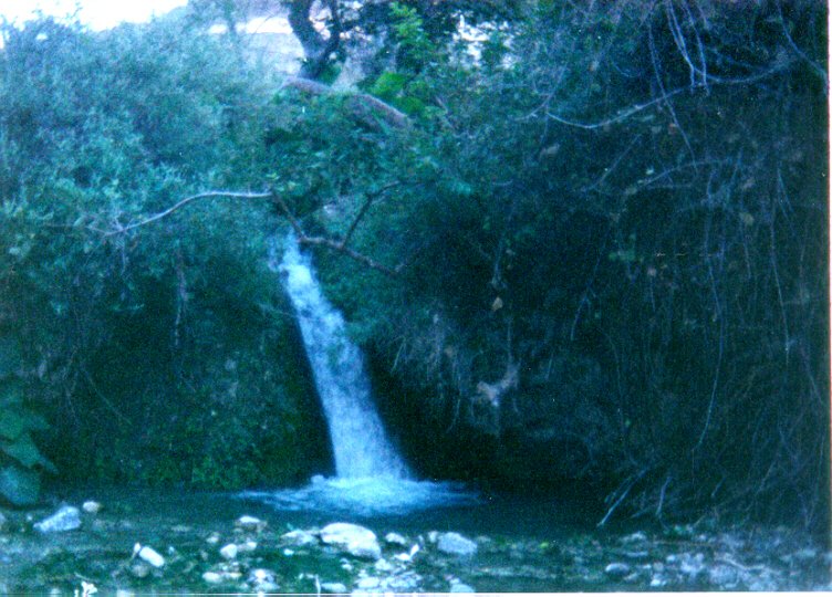 Cascada Ojo de Agua en Magdalena Tlatlauquitepec