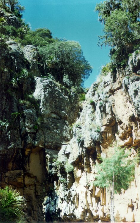 Barrancas 'El Chorro'