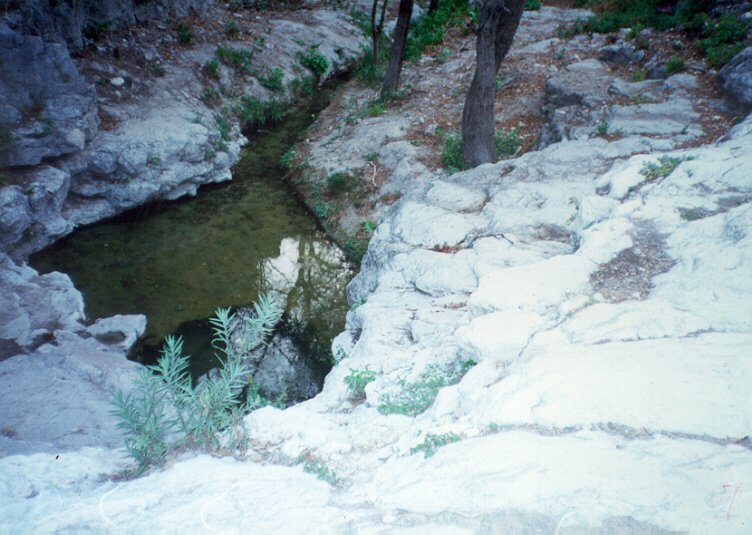 Ojo de Agua