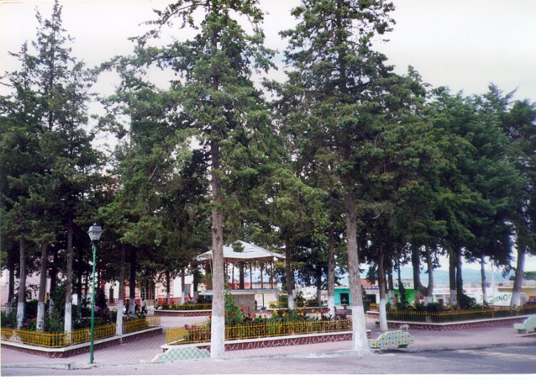 Zócalo de Soltepec, Pue.