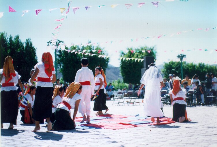 Danza o bailable típico