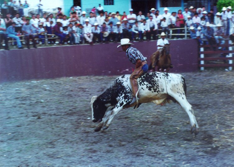 Jaripeo en la Fiesta Anual de la Natividad de María Santísima