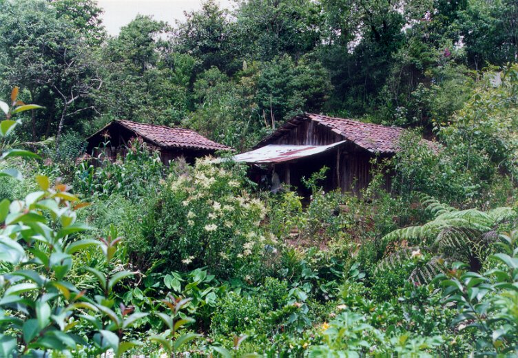 Vivienda Comunitaria en Tlapacoya, Pue.