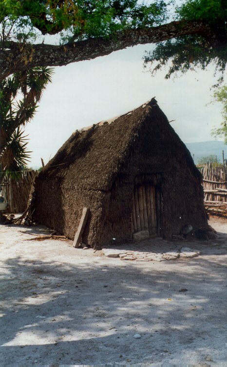 Casa de Palma