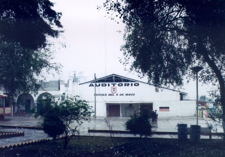 Auditorio de Zaragoza, Pue