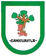 Glifo municipal de Camocuautla