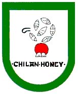 municipio - Chila_h