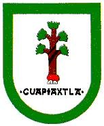 Glifo de Cuapiaxtla de Madero - Árboles altos en el campo