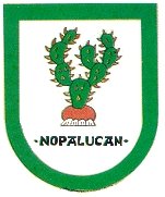 municipio - Nopaluca