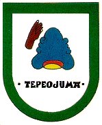 municipio - Tepeojum