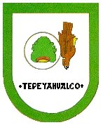 municipio - Tepeya_c