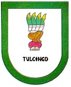 municipio - Tulcin_v