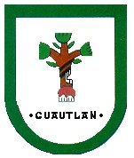 municipio - Vicent_g