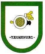 municipio - Yaonahua