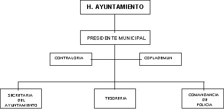 Organigrama del municipio de Acteopan