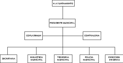 Organigrama de la Administración Pública Municipal