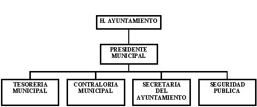 Organigrama del municipio de Chiconcuautla