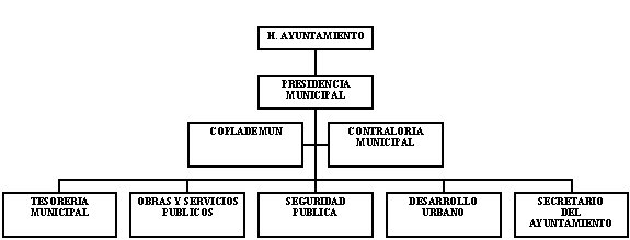 municipio - org21053