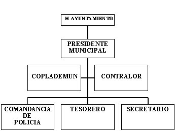 municipio - org21062