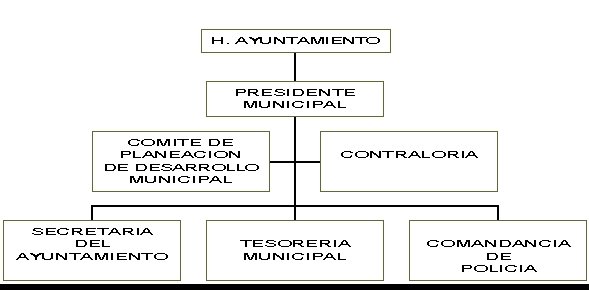 municipio - org21067