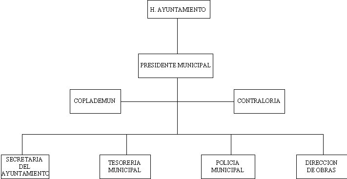 municipio - org21072