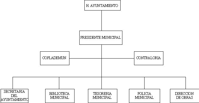 municipio - org21076
