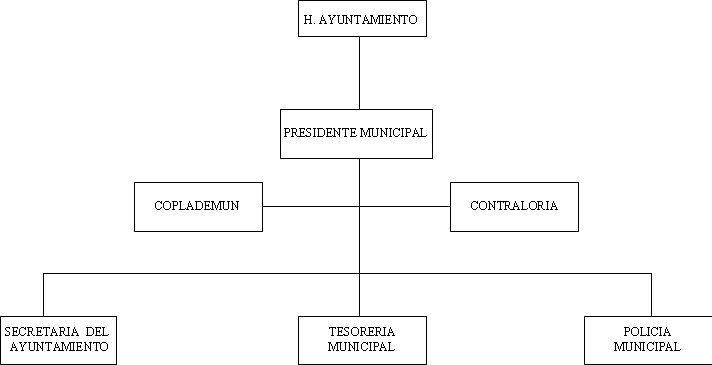 municipio - org21077