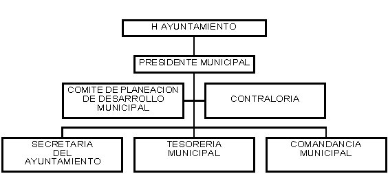 municipio - org21082
