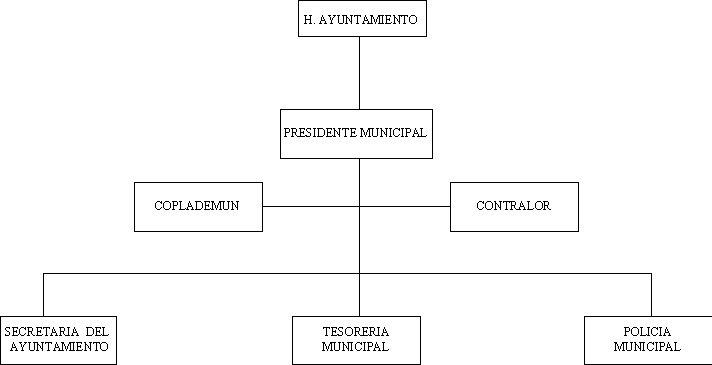 municipio - org21084