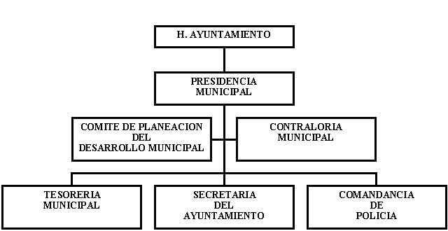 municipio - org21086
