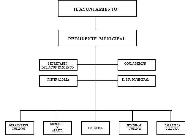 municipio - org21090