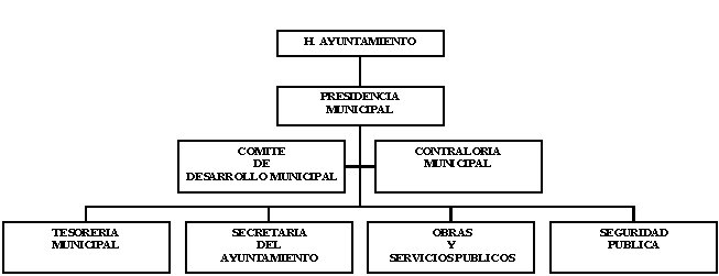 municipio - org21091