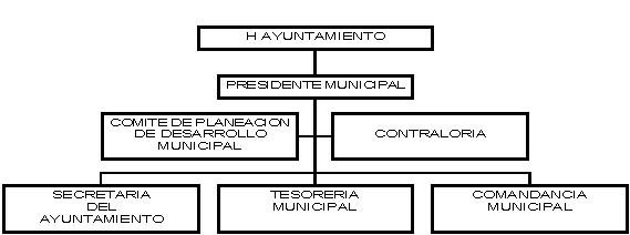 municipio - org21095