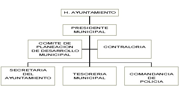 municipio - org21096