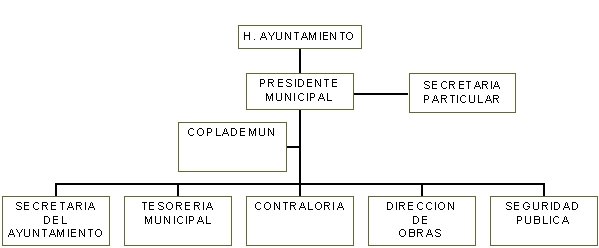 municipio - org21104