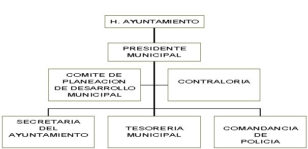 municipio - org21105