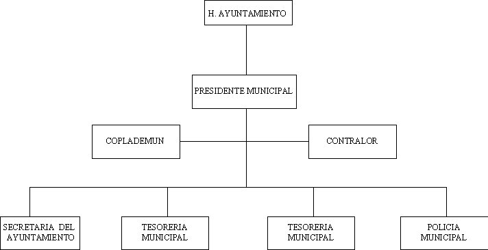 municipio - org21107