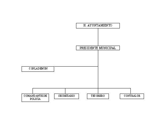 municipio - org21113