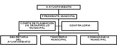 municipio - org21120