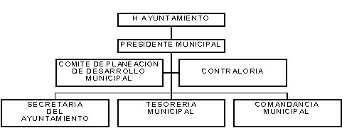 municipio - org21124