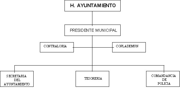 municipio - org21126