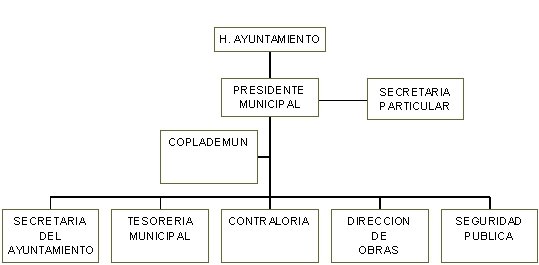 municipio - org21142