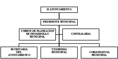 municipio - org21145